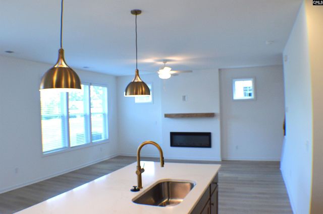 320 Conductor Lane, Irmo, SC 29063