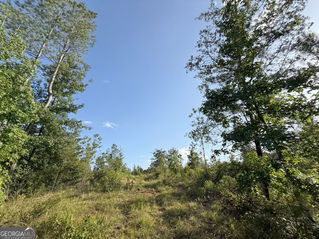 16 Emmaus Drive, Elberton, GA 30635