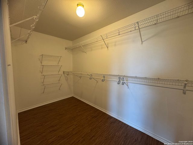 25715 Gold Yarrow, San Antonio, TX 78260