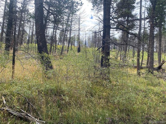 1923-1924 Korlkoff Lane, Fort Garland, CO 81133