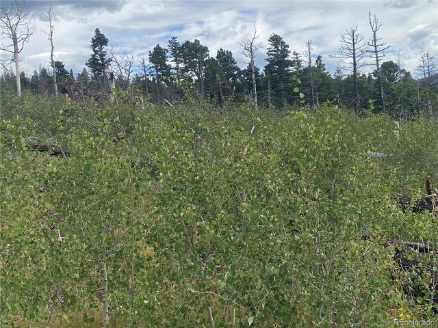 1923-1924 Korlkoff Lane, Fort Garland, CO 81133