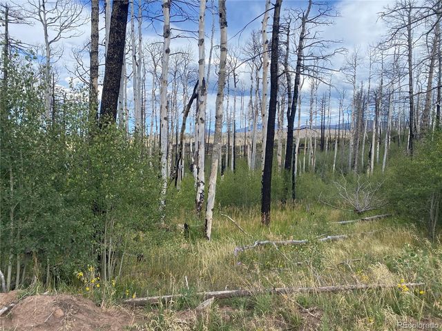 1923-1924 Korlkoff Lane, Fort Garland, CO 81133