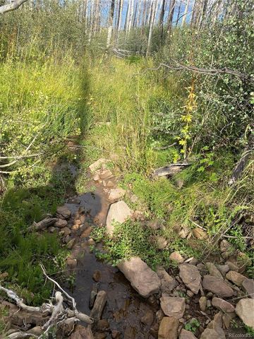 1923-1924 Korlkoff Lane, Fort Garland, CO 81133