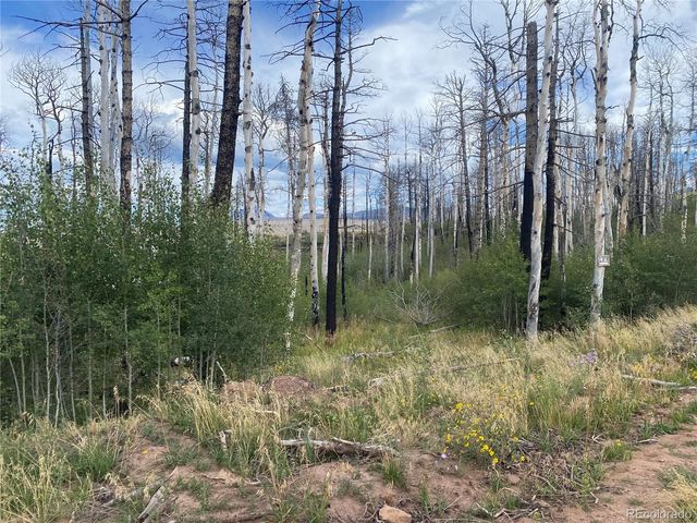 1923-1924 Korlkoff Lane, Fort Garland, CO 81133