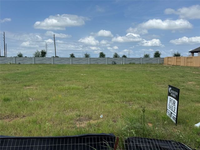26430 Euphoria Way, Hockley, TX 77447