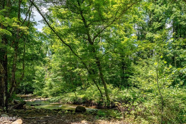 135 Grindstaff Hollow Road, Elizabethton, TN 37643