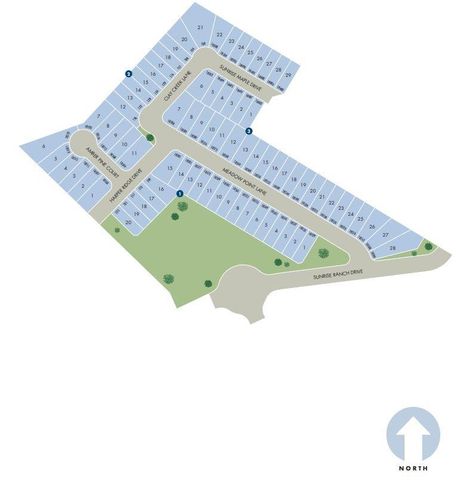 18718 Timber Glen Drive, Montgomery, TX 77316