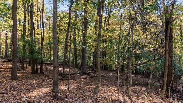 0 Dorrence Road, Granville, OH 43023