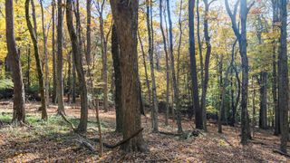 0 Dorrence Road, Granville, OH 43023