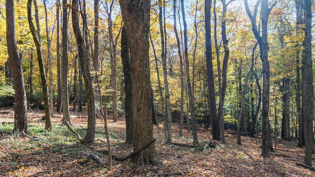 0 Dorrence Road, Granville, OH 43023