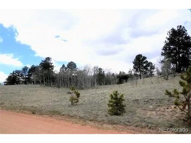 47 Hidden Valley, Florissant, CO 80816