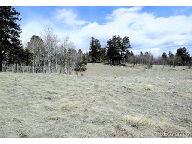 47 Hidden Valley, Florissant, CO 80816