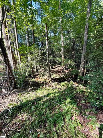 0 Thompson Road, Greer, SC 29651