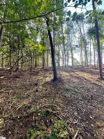 0 Thompson Road, Greer, SC 29651