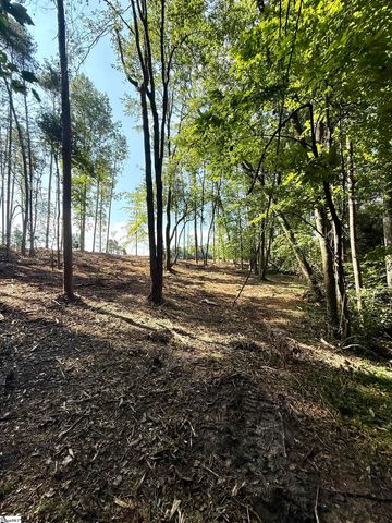 0 Thompson Road, Greer, SC 29651
