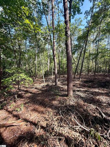 0 Thompson Road, Greer, SC 29651