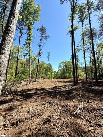 0 Thompson Road, Greer, SC 29651