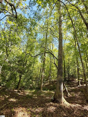 0 Thompson Road, Greer, SC 29651