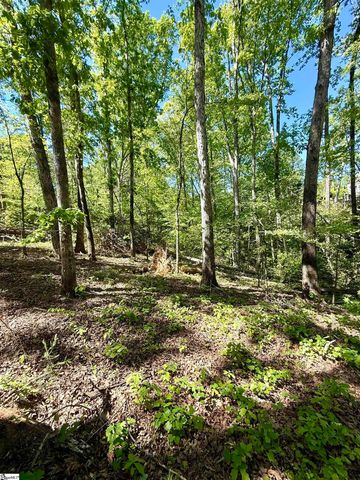 0 Thompson Road, Greer, SC 29651