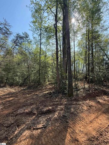 0 Thompson Road, Greer, SC 29651