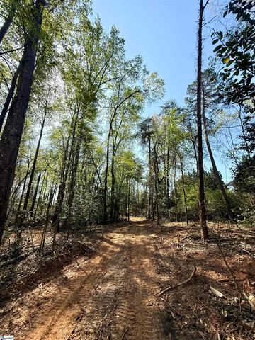 0 Thompson Road, Greer, SC 29651