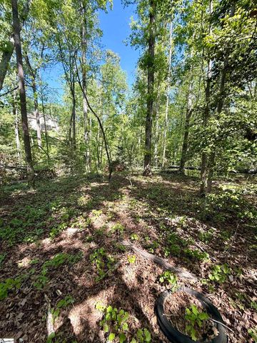 0 Thompson Road, Greer, SC 29651