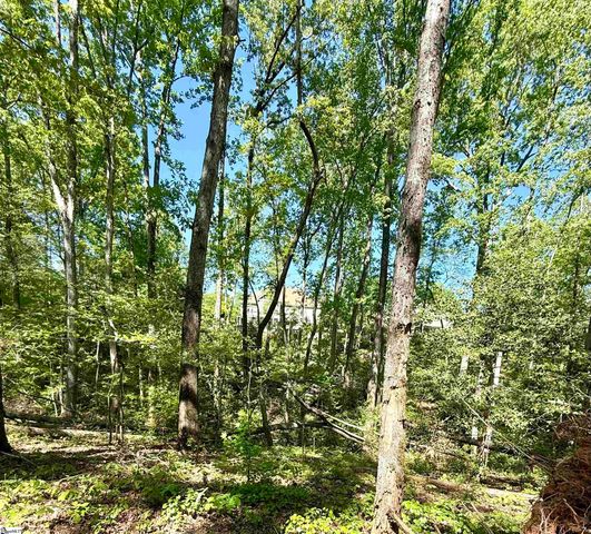 0 Thompson Road, Greer, SC 29651