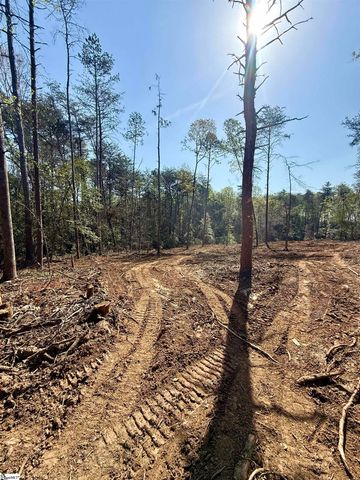 0 Thompson Road, Greer, SC 29651