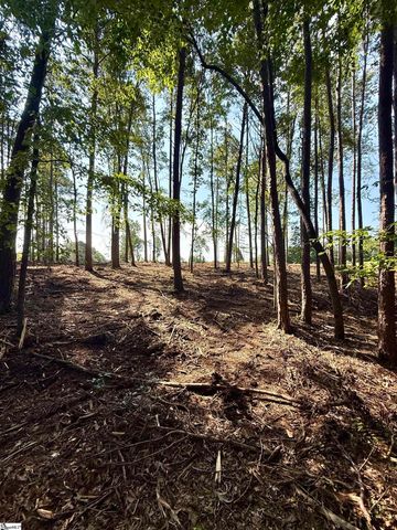 0 Thompson Road, Greer, SC 29651