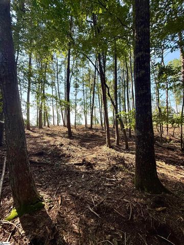 0 Thompson Road, Greer, SC 29651
