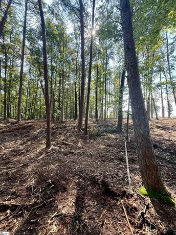 0 Thompson Road, Greer, SC 29651