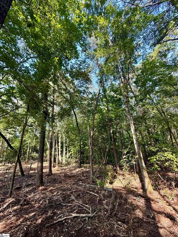 0 Thompson Road, Greer, SC 29651