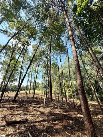 0 Thompson Road, Greer, SC 29651