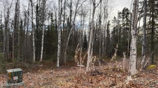 673 N Wilhelm Street, Houston, AK 99623