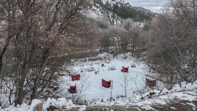 7203 E CUB RD, Preston, ID 83263