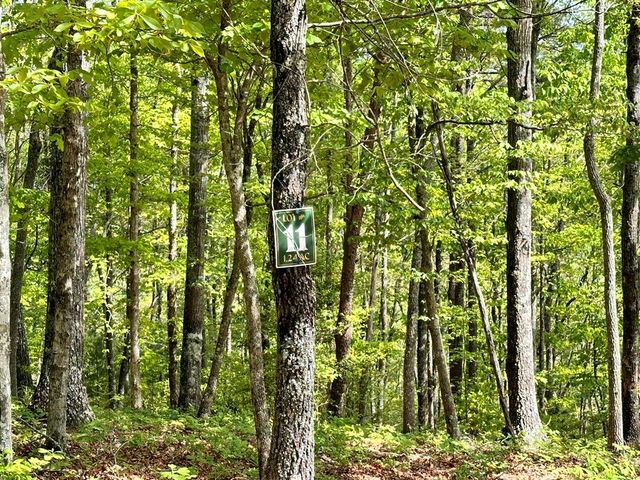 Lot 11 Settawig Overlook, Hayesville, NC 28904