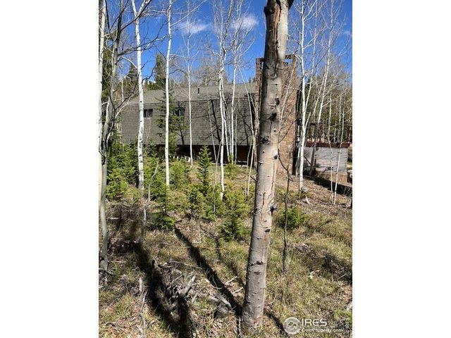 100 Santee Ct, Red Feather Lakes, CO 80545