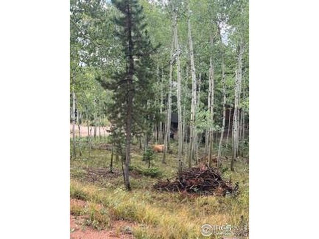 100 Santee Ct, Red Feather Lakes, CO 80545