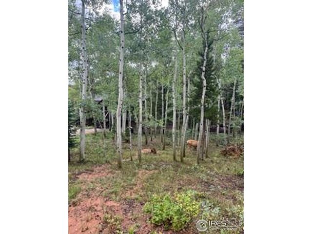 100 Santee Ct, Red Feather Lakes, CO 80545