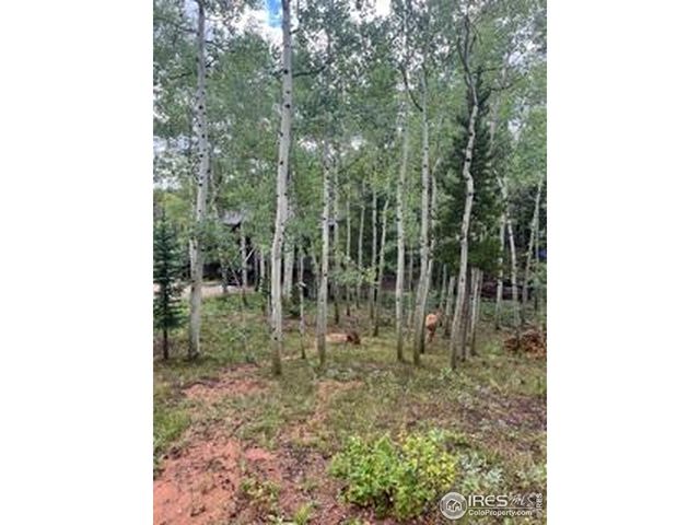 100 Santee Ct, Red Feather Lakes, CO 80545