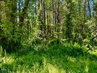 00 Young Avenue, Henderson, NC 27536