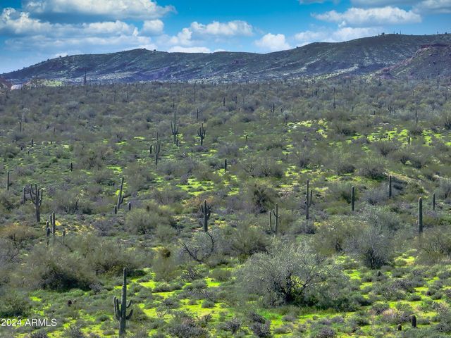 26620 N PALO FIERO Road 116, Rio Verde, AZ 85263