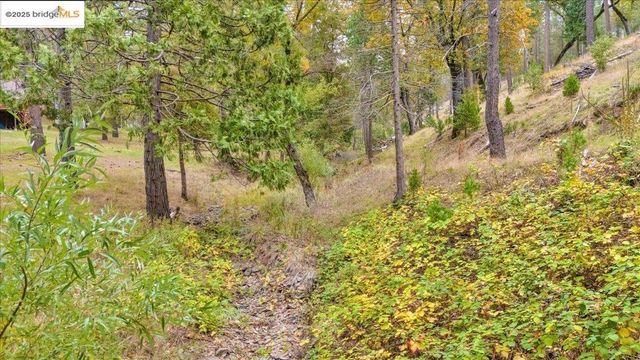 20807 Mckinley WAY, Groveland, CA 95321