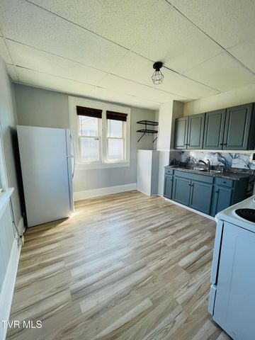 204 Delaware Street, Johnson City, TN 37604