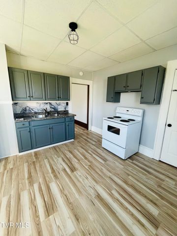 204 Delaware Street, Johnson City, TN 37604