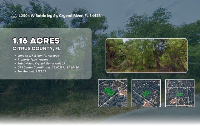 12504 W BALTIC IVY STREET, Crystal River, FL 34428