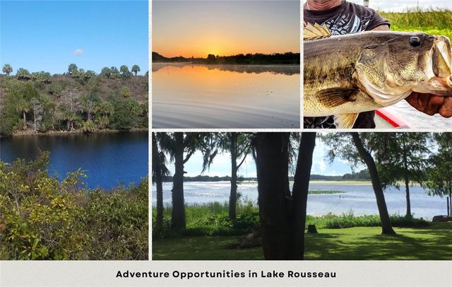 12504 W BALTIC IVY STREET, Crystal River, FL 34428