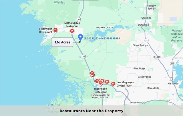 12504 W BALTIC IVY STREET, Crystal River, FL 34428