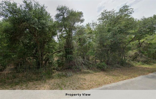 12504 W BALTIC IVY STREET, Crystal River, FL 34428