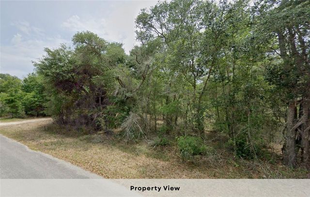 12504 W BALTIC IVY STREET, Crystal River, FL 34428